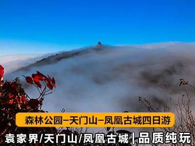 z4張家界-天門山-鳳凰四日游